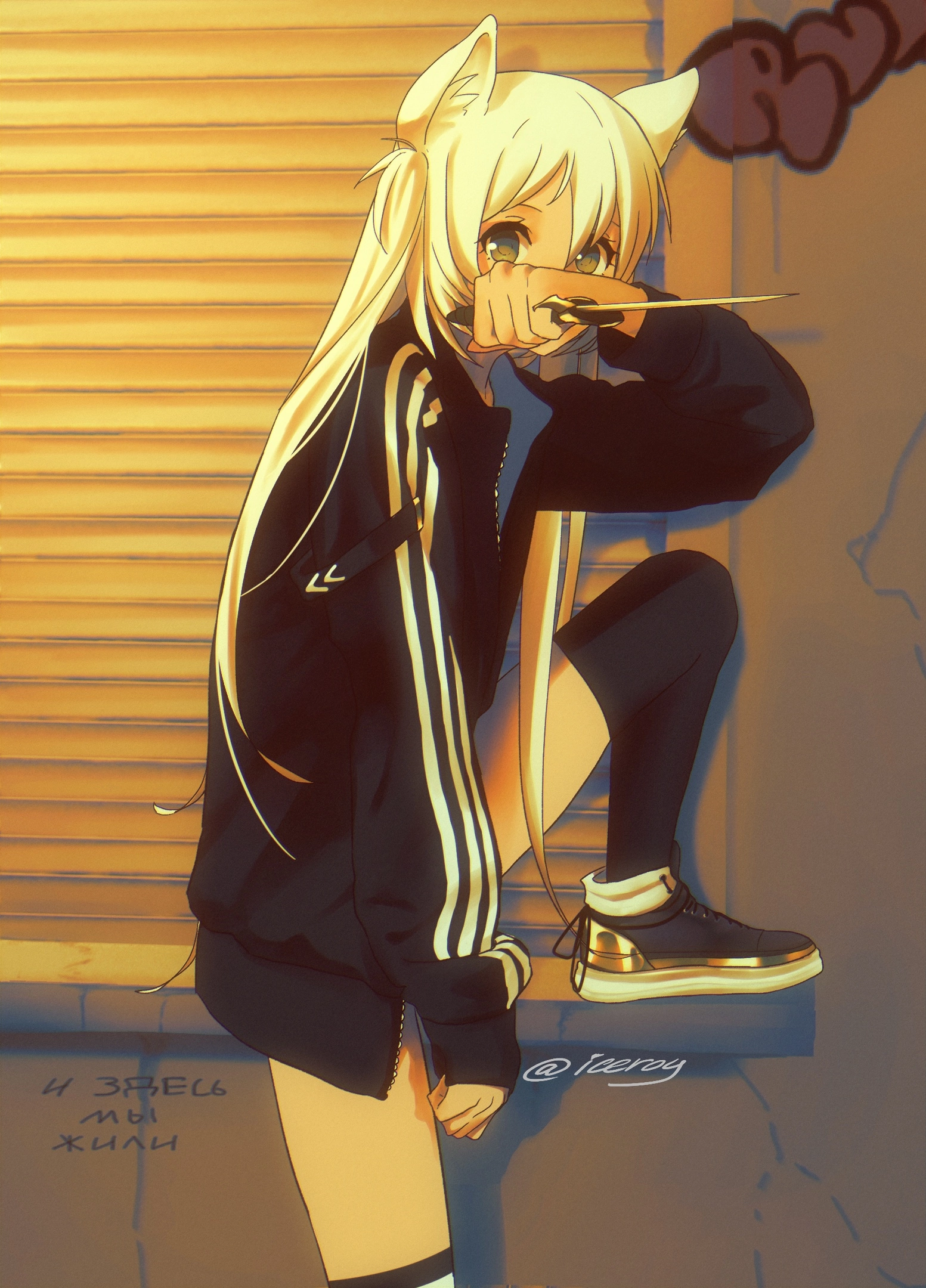 1553x2160