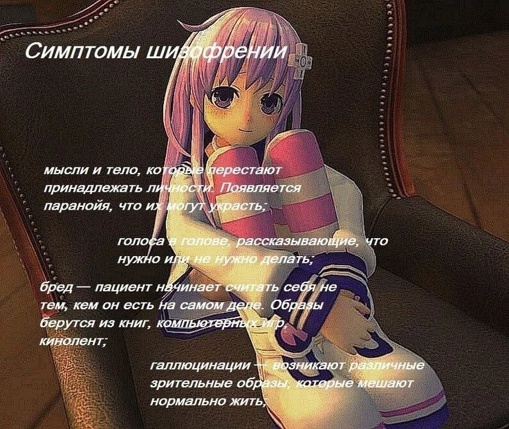 736x620