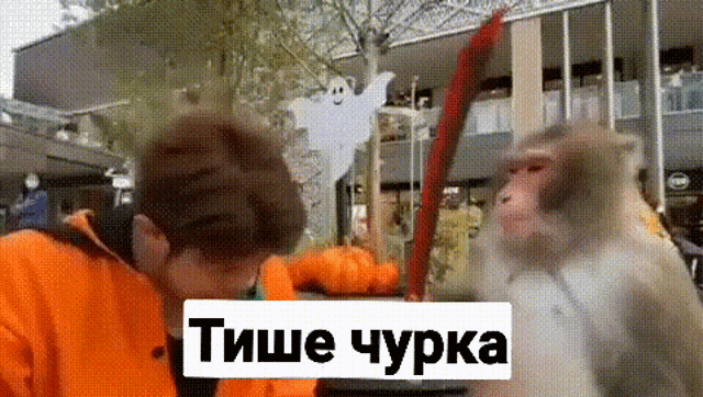640x362