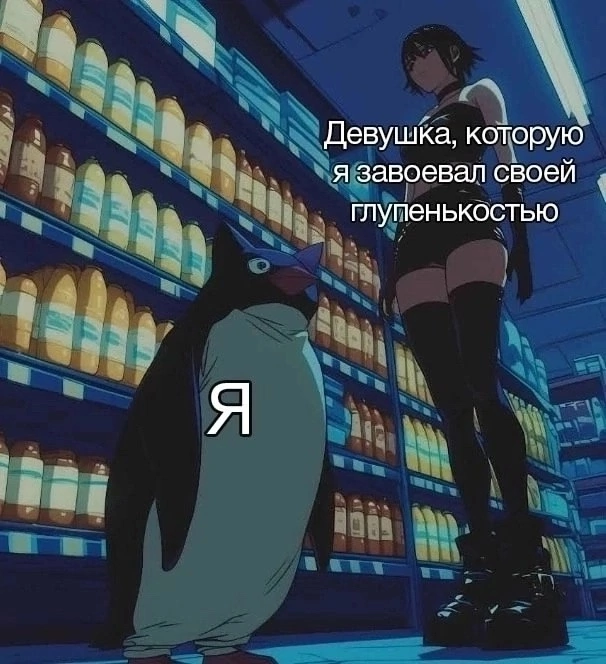 606x664