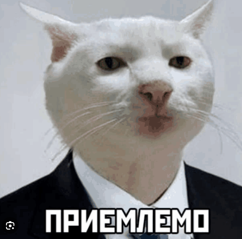 784x774