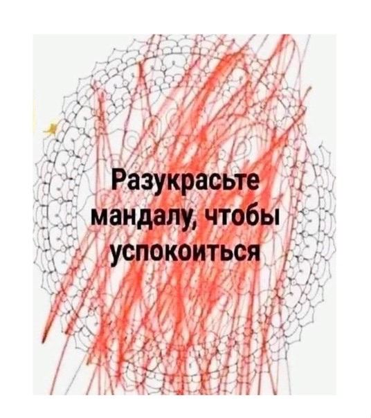 536x604