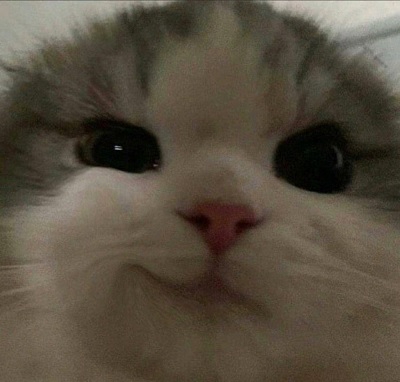 400x382