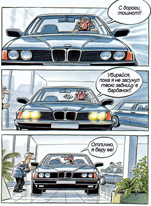 500x684