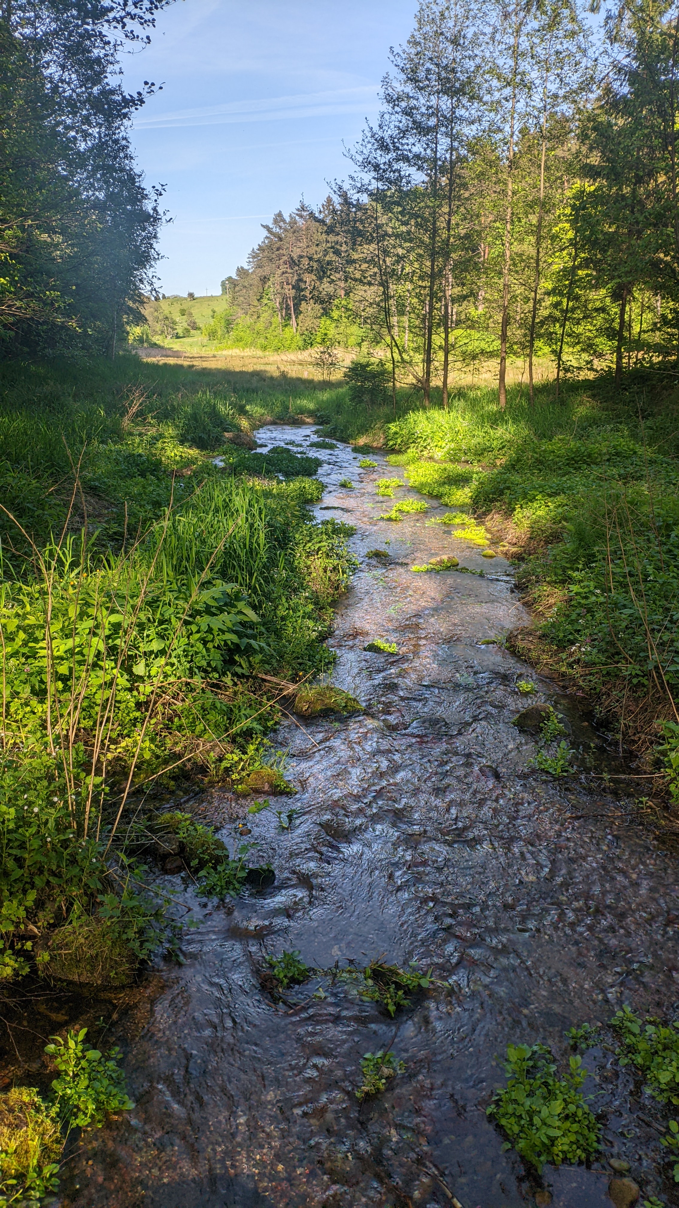 2268x4032