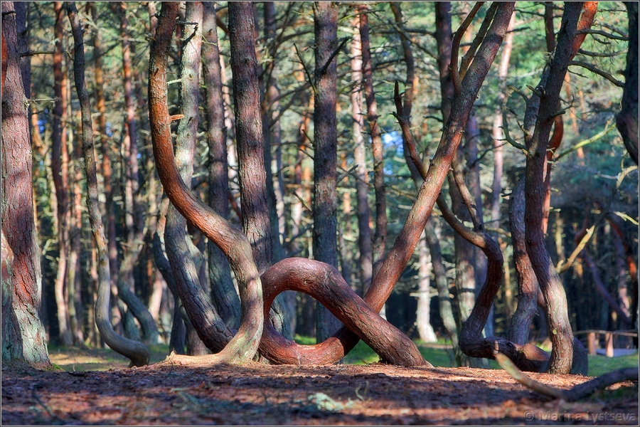 900x600