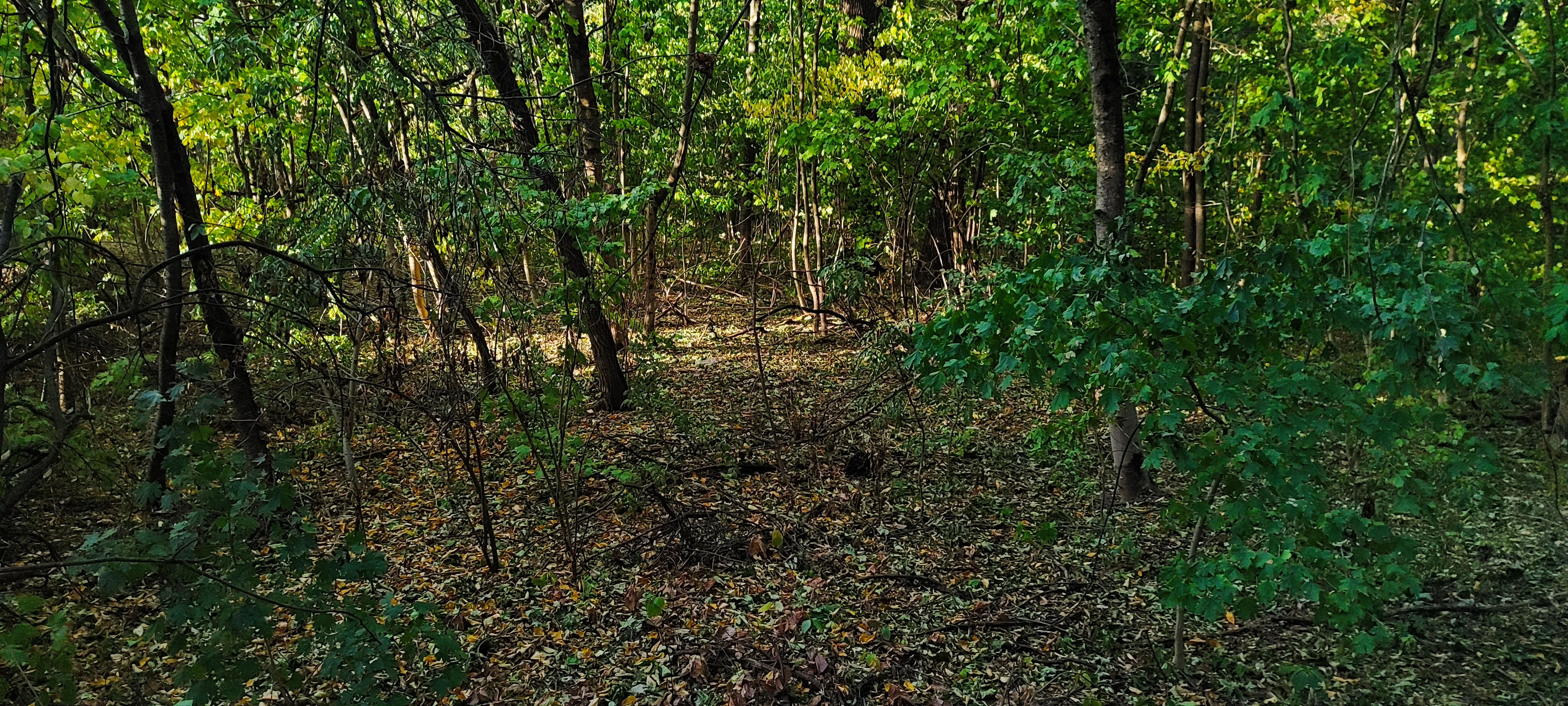 4000x1800