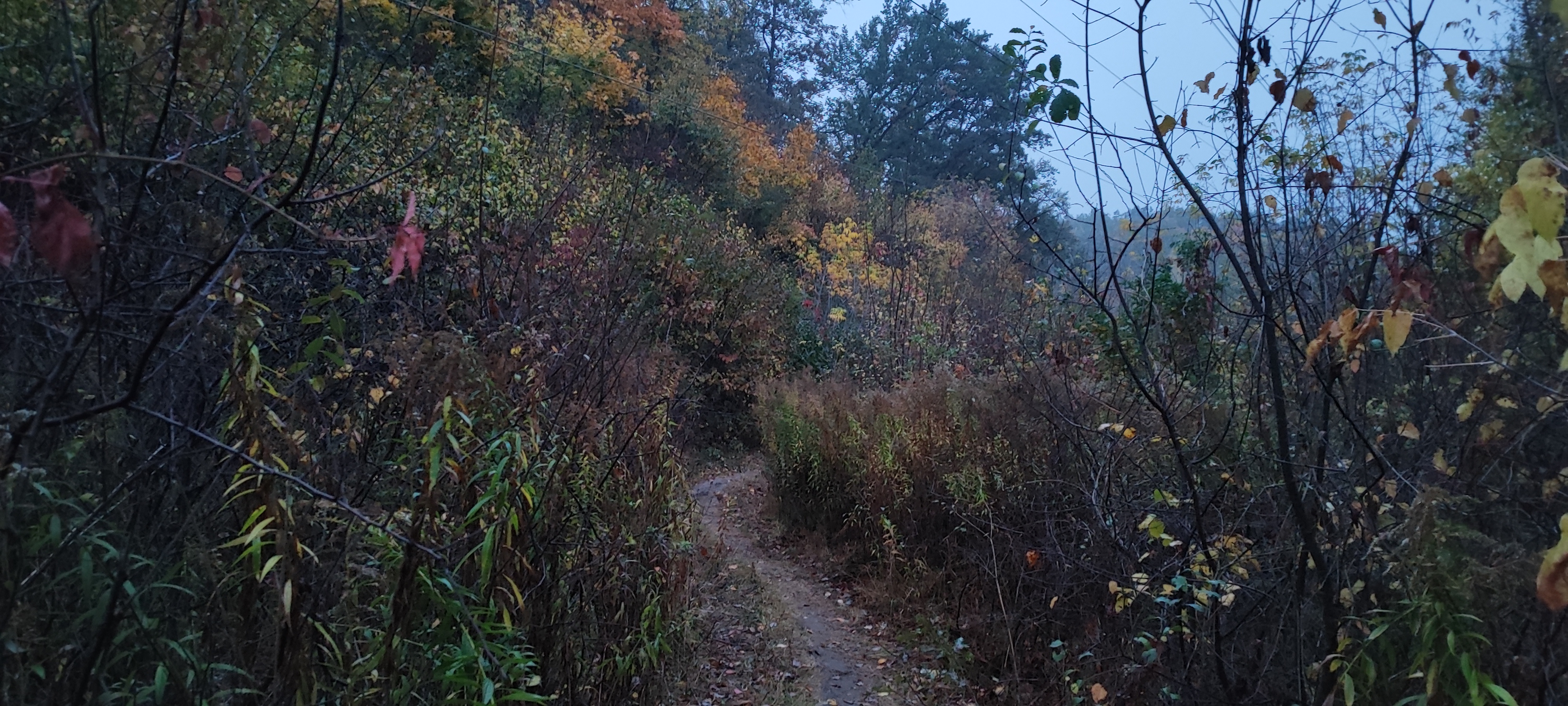 4000x1800