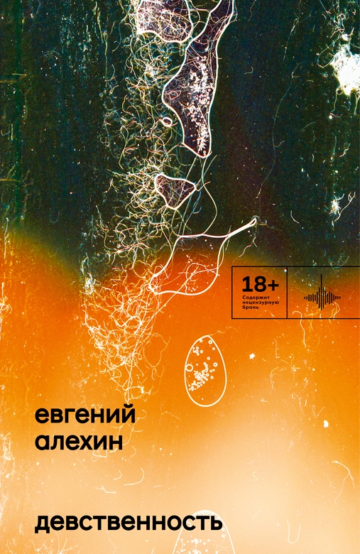 507x780