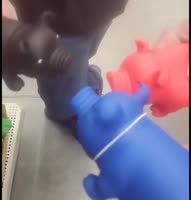 736x768