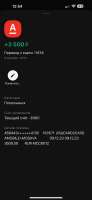 590x1280