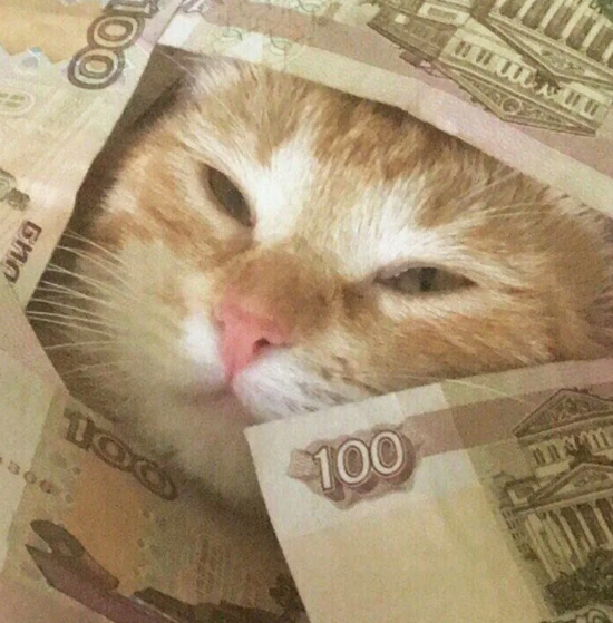 550x559