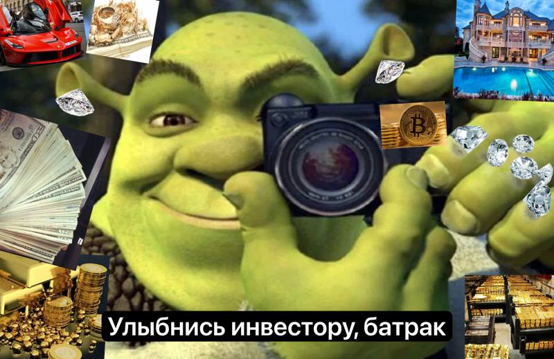800x519