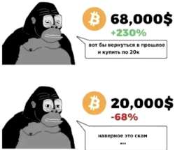 1558x1342