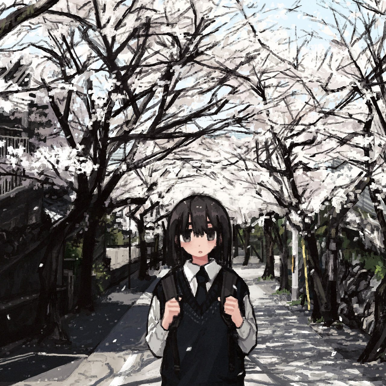 1280x1280