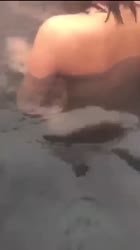 720x1280