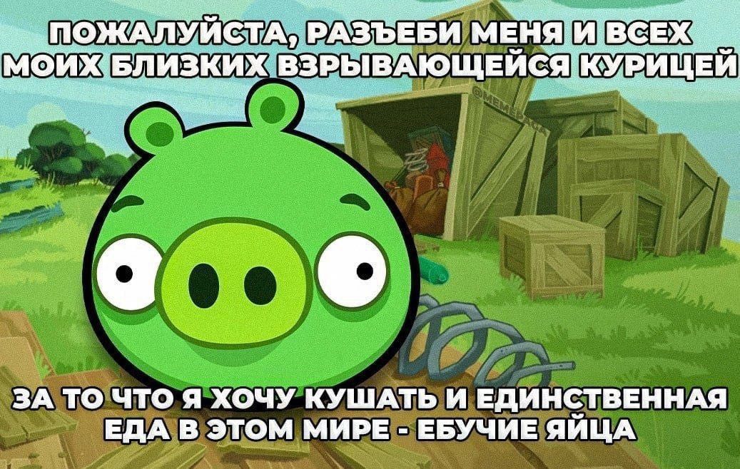 1037x658