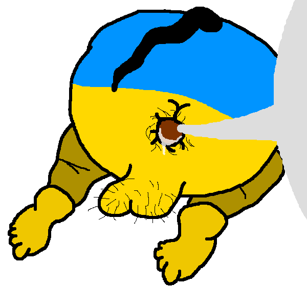 600x600