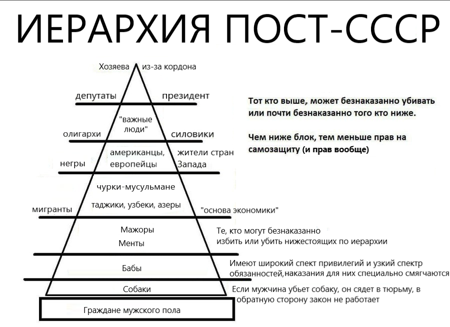 900x655