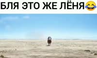 594x360