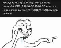1200x939