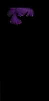 575x1185