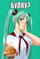 600x880