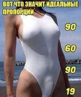 480x569
