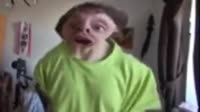 360x202