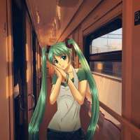736x736