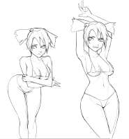 854x919