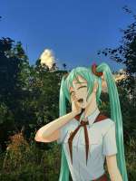 736x980