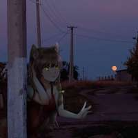 1280x1280