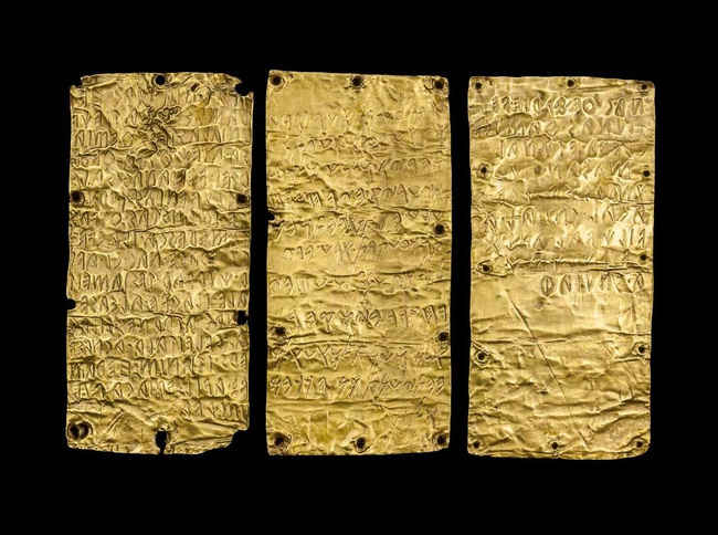 650x484