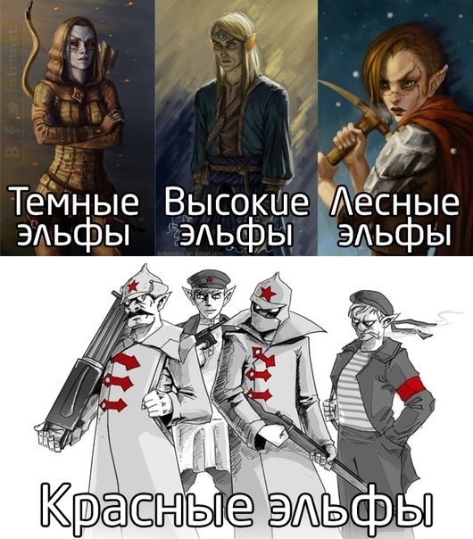 530x604