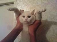 88
