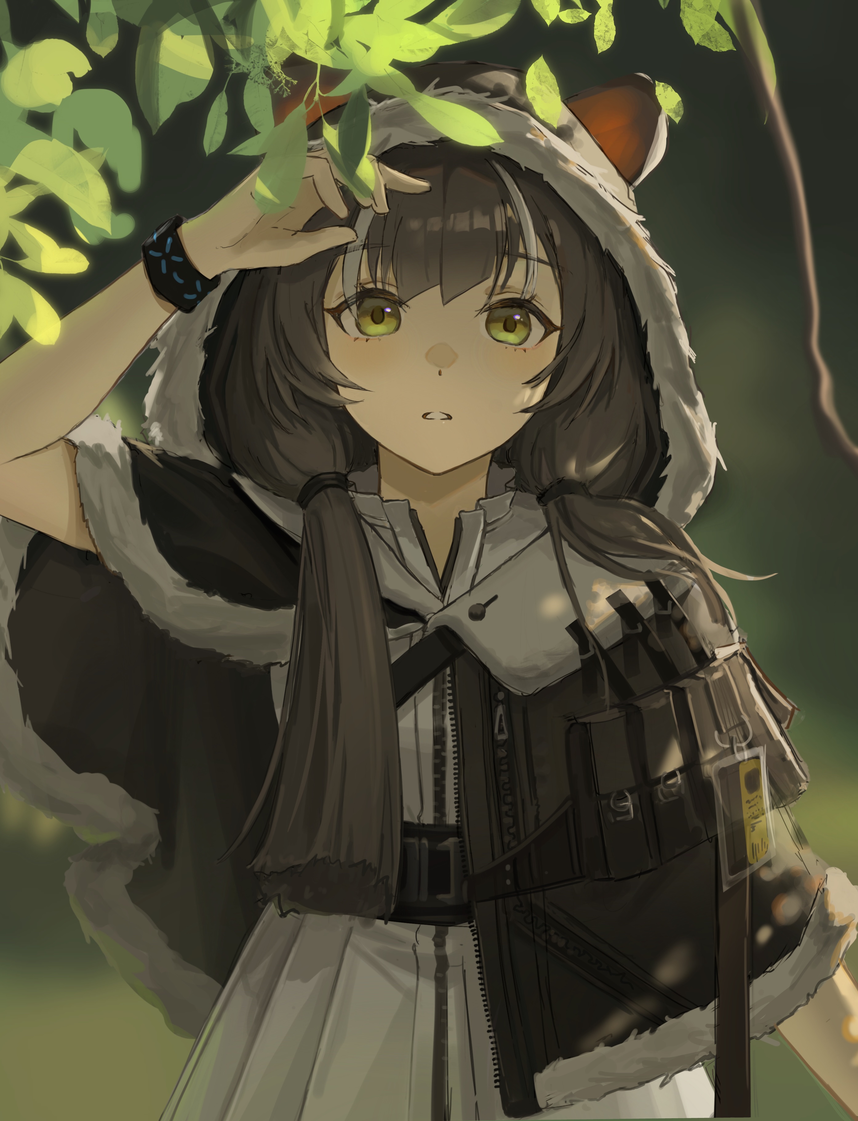 2789x3641