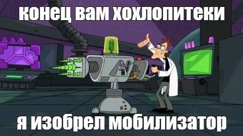494x276