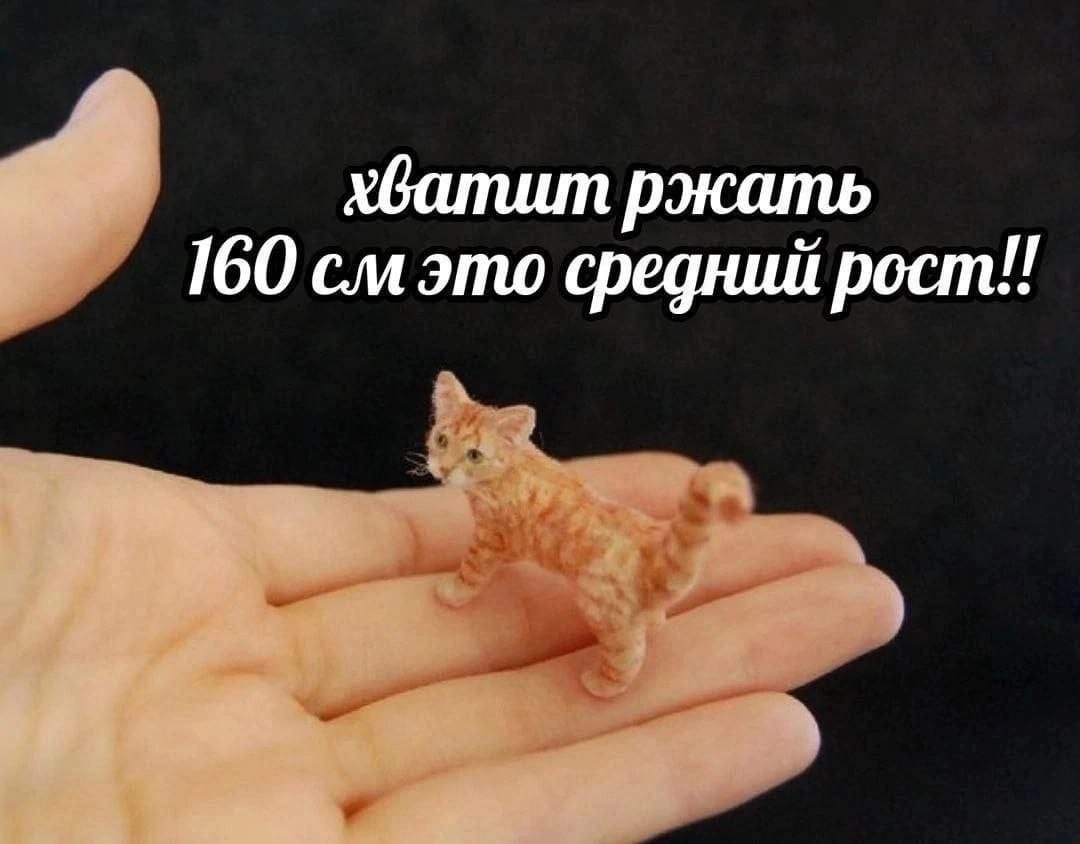 1080x844