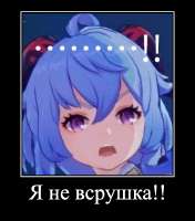 653x738