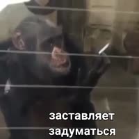 360x360