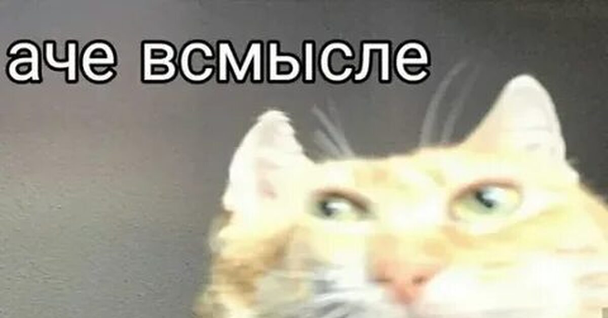 1200x628