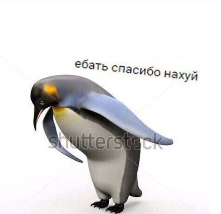 720x698