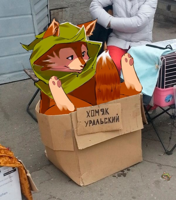 600x682