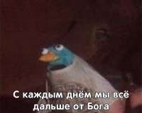 1080x867