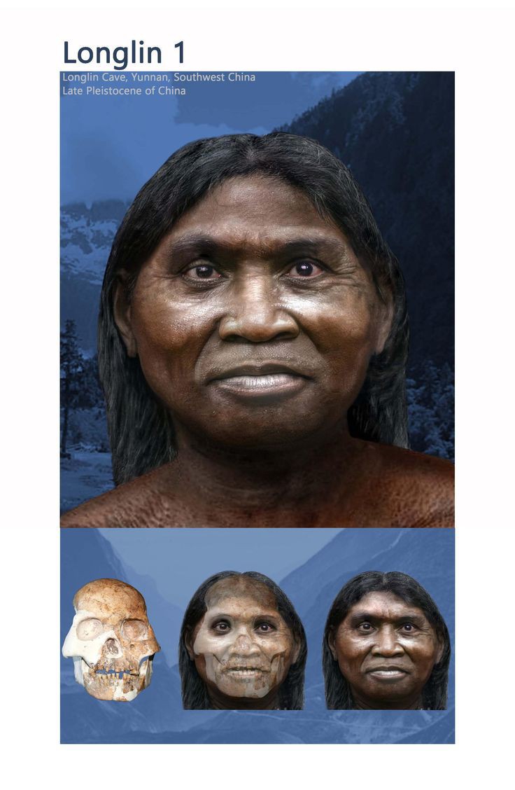 736x1128