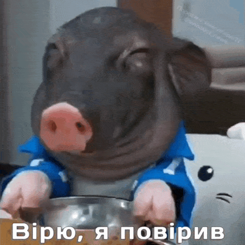498x498