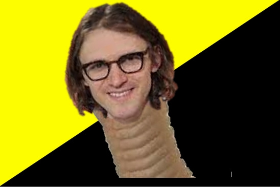 548x365