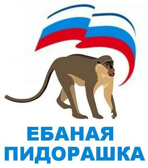 498x563