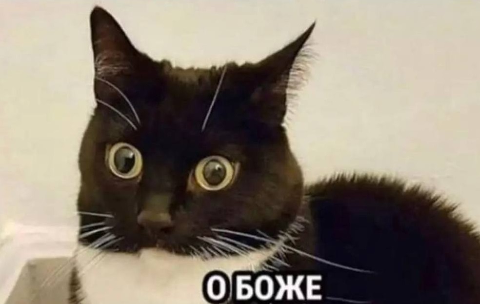 984x623